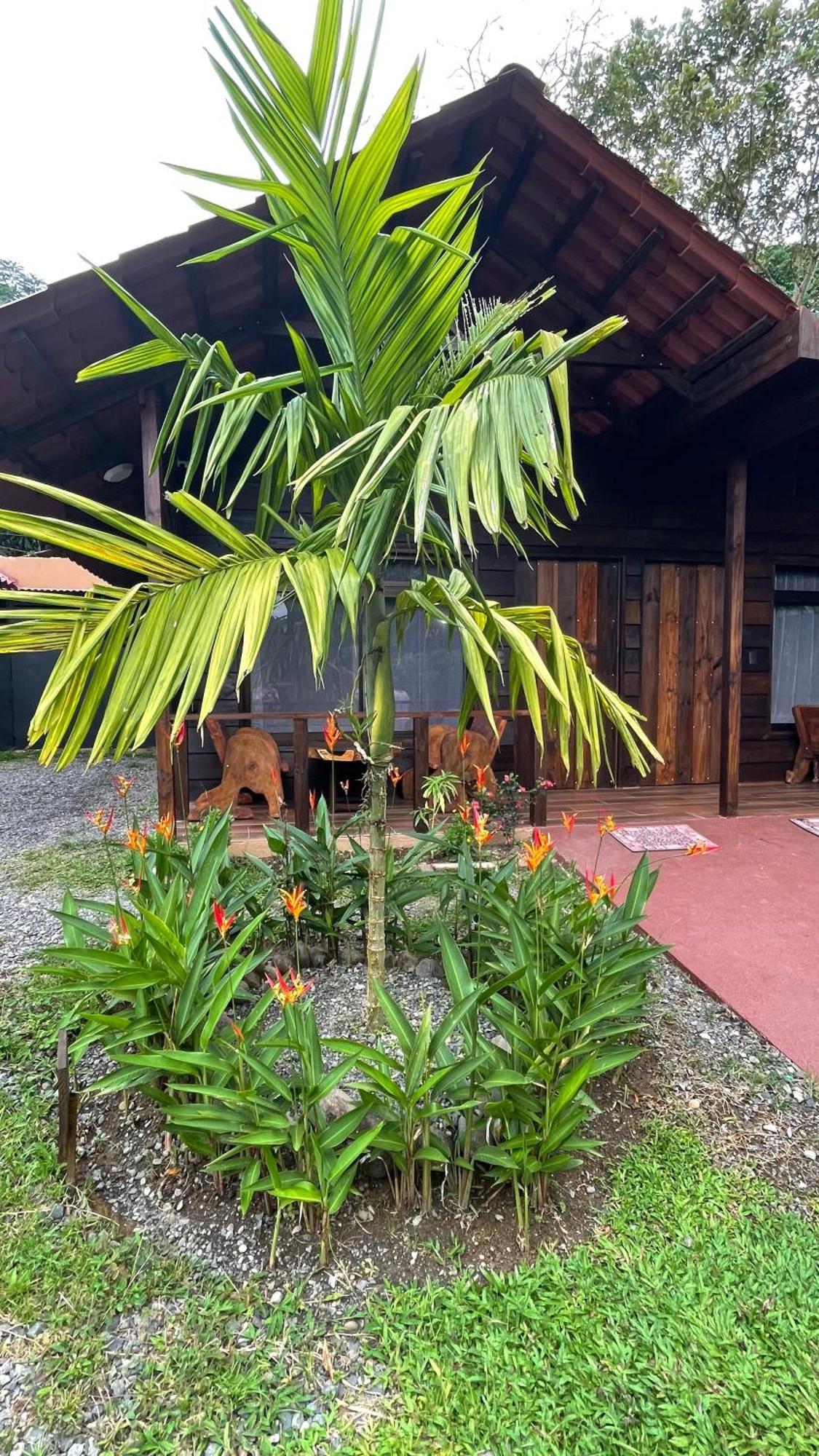 La Fortuna Waterfall Bungalows Екстериор снимка